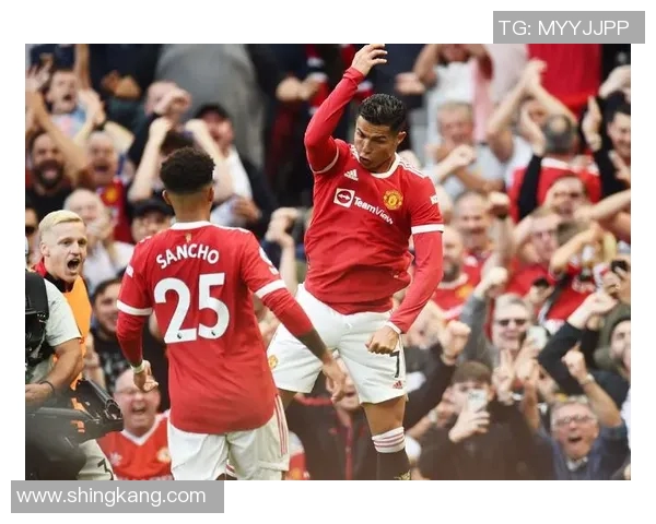 汤森德水晶宫主场迎战西布朗全力争胜的精彩对决 汤森德水晶宫主场迎战西布朗全力争胜的精彩对决